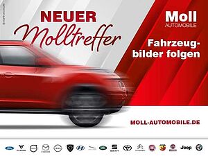 Ford  Turnier ST-Line Mild-Hybrid Assistenz-Winter-Styling-Paket Navi ACC Apple CarPla